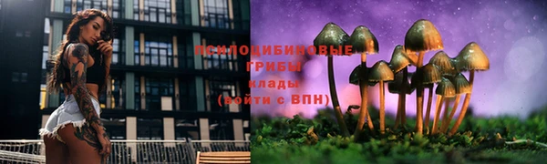 молекула духа Новодвинск