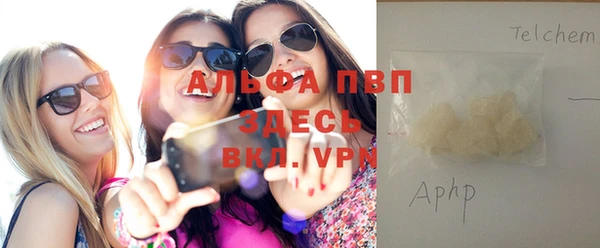 крисы Новокубанск