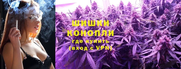 сатива Нязепетровск