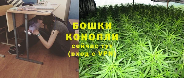крисы Новокубанск
