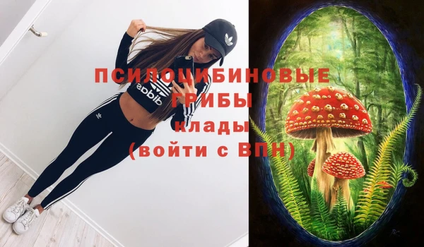 сатива Нязепетровск