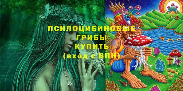 стаф Усолье-Сибирское