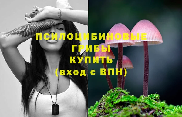 первитин Усинск