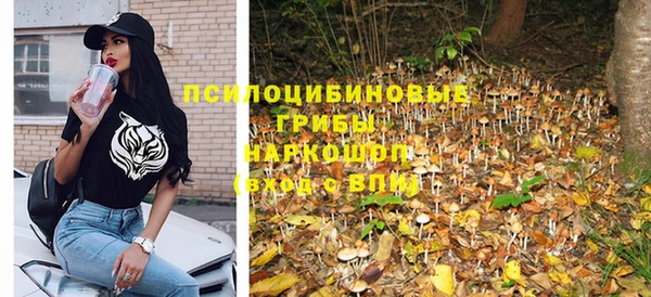 молекула духа Новодвинск