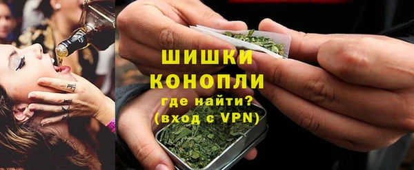 сатива Нязепетровск