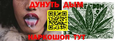 прущие крисы Гай