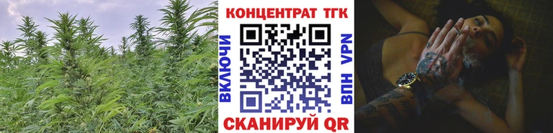 Дистиллят ТГК гашишное масло OMG ссылки Алейск купить сайты