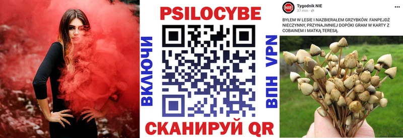 mega рабочий сайт  Алейск  Галлюциногенные грибы прущие грибы  мориарти клад  купить  