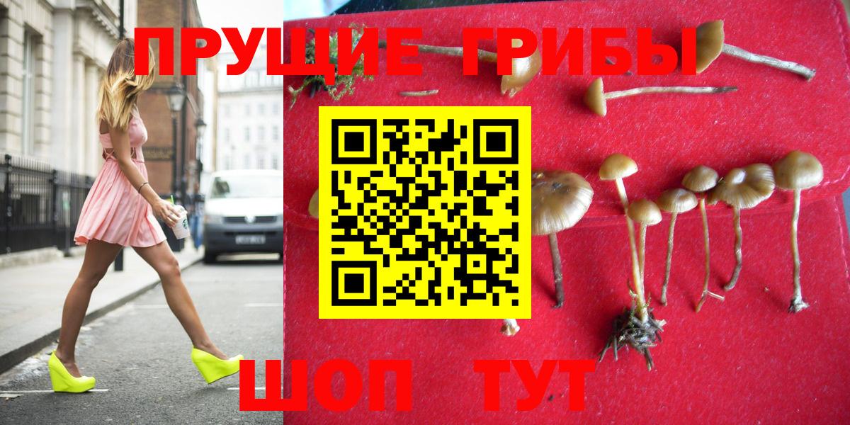 Галлюциногенные грибы GOLDEN TEACHER  Вход с VPN  Алейск 