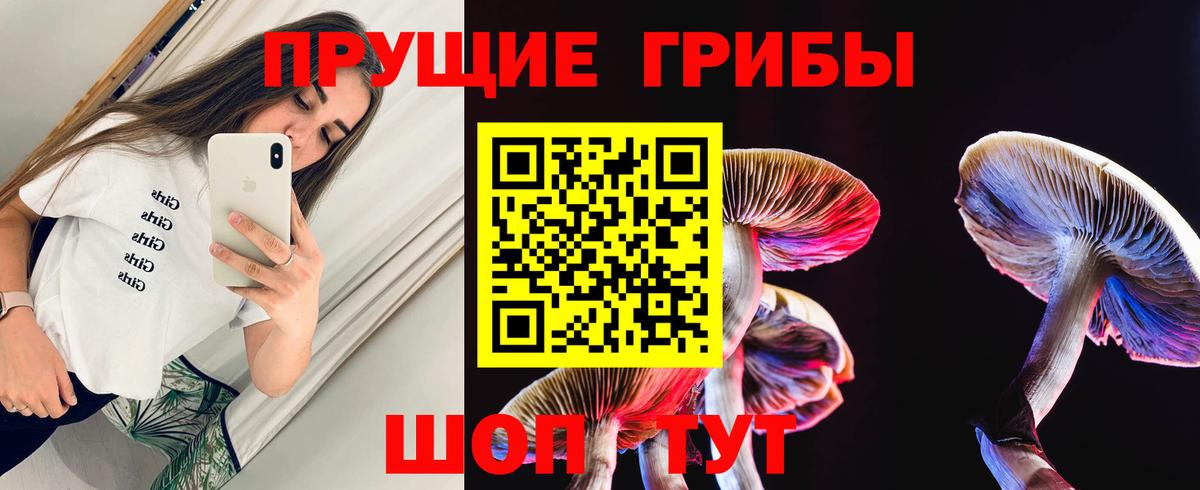 Псилоцибиновые грибы Magic Shrooms Алейск