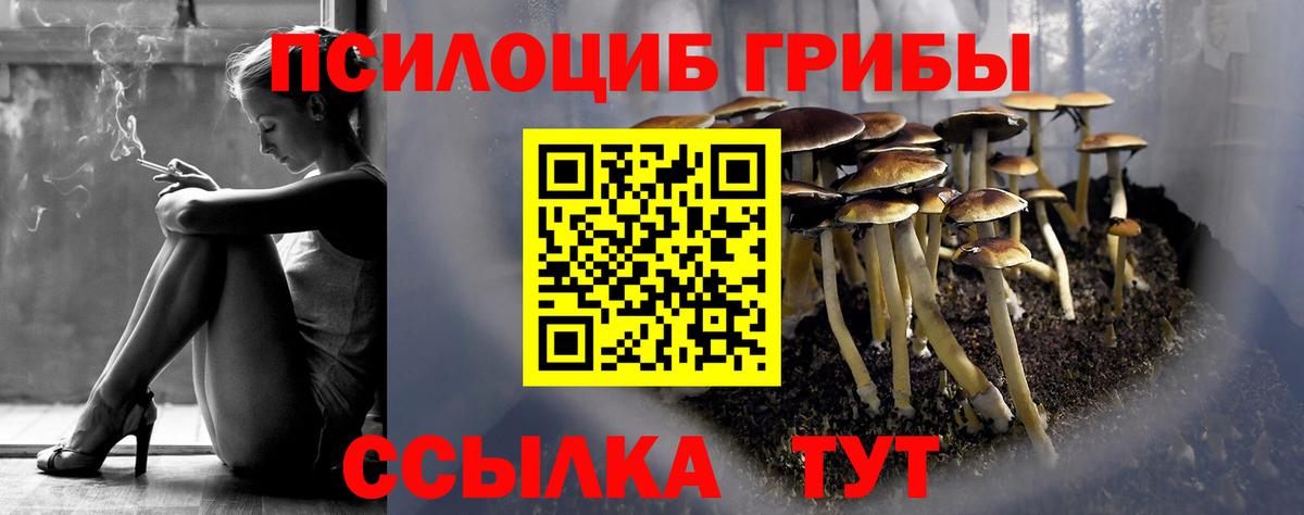 Алейск  Галлюциногенные грибы мухоморы  Вход с VPN 